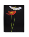 Flowers: Art & Bouquets Book