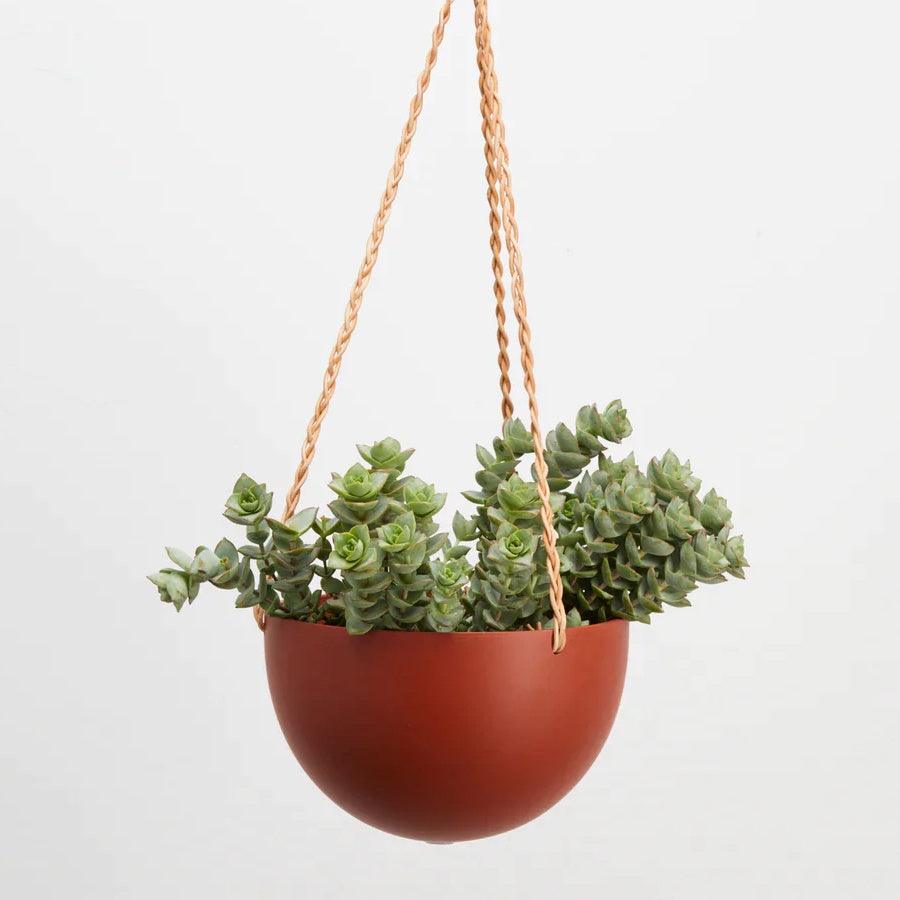 Dome Hanging Planter - Terracotta