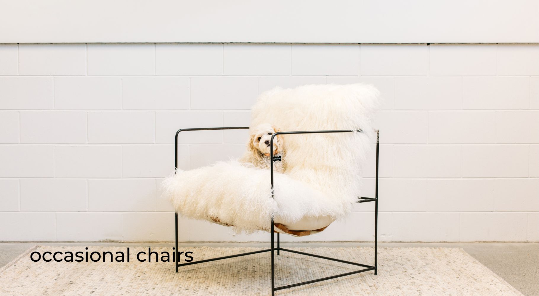 Occasional Chairs