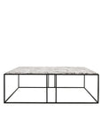 Dion marble coffee table Alaska