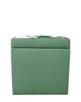 Storage ottoman in tropical palm and nassau forest
