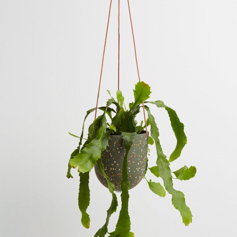 hanging pot 